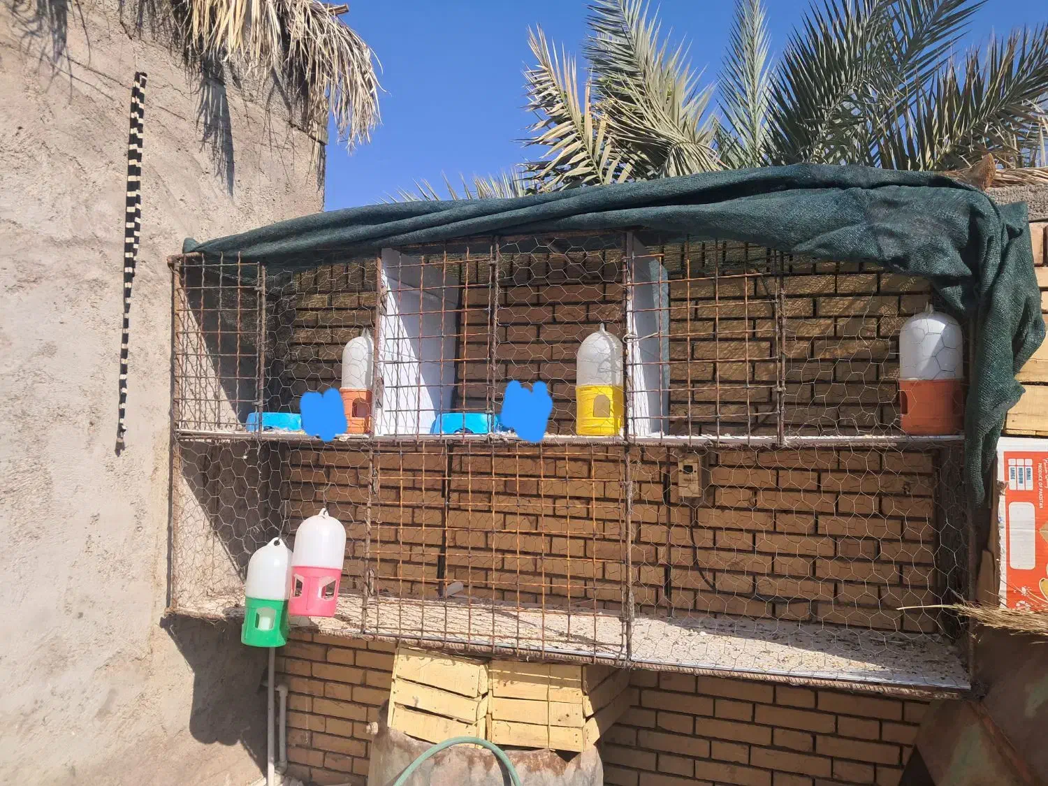 قفس کفتر|پرنده|رفسنجان, |دیوار