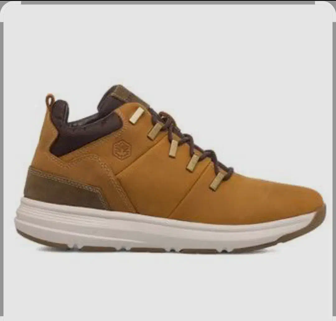 کفش فروشی|کیف، کفش، کمربند|سنندج, |دیوار