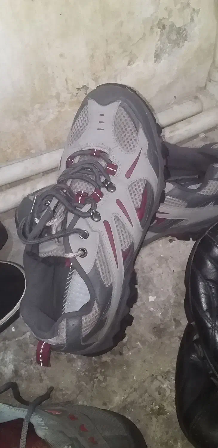 کفش|کیف، کفش، کمربند|تهران, آسمان|دیوار