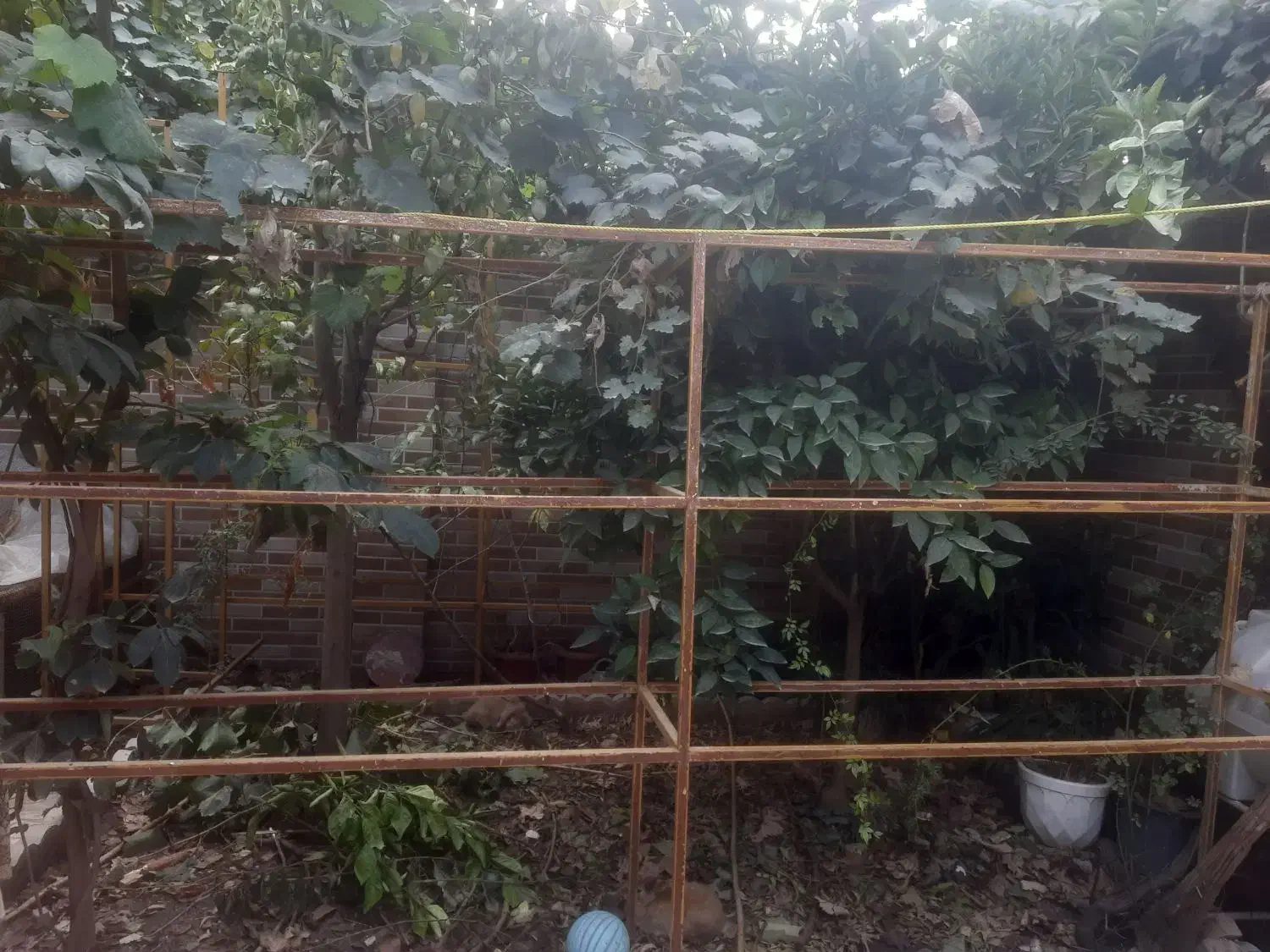 قفسه مغازه چهارعدد قوطی۲/۵*۲/۵تخفیف دارد|فروشگاه و مغازه|مینودشت, |دیوار