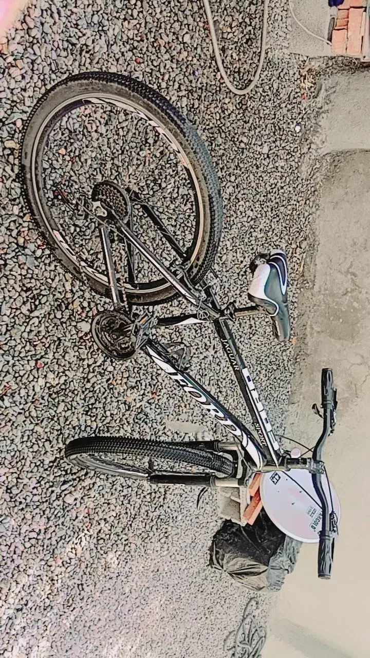 دوچرخه|دوچرخه، اسکیت، اسکوتر|جیرفت, |دیوار