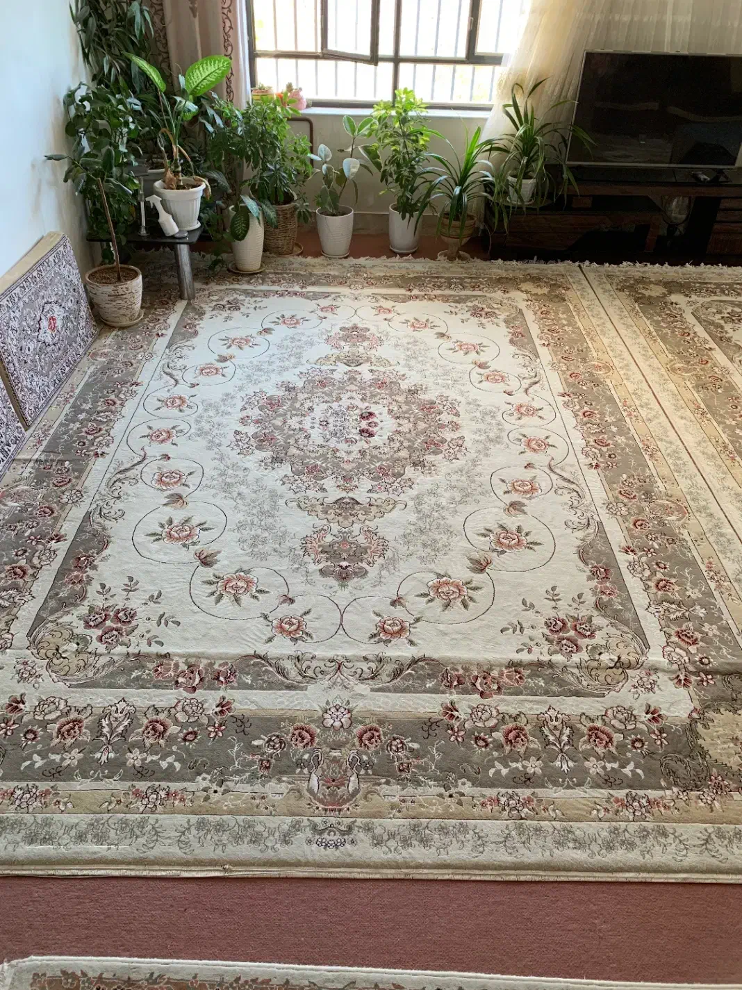 فرش ۳*۴|فرش|اسفراین, |دیوار