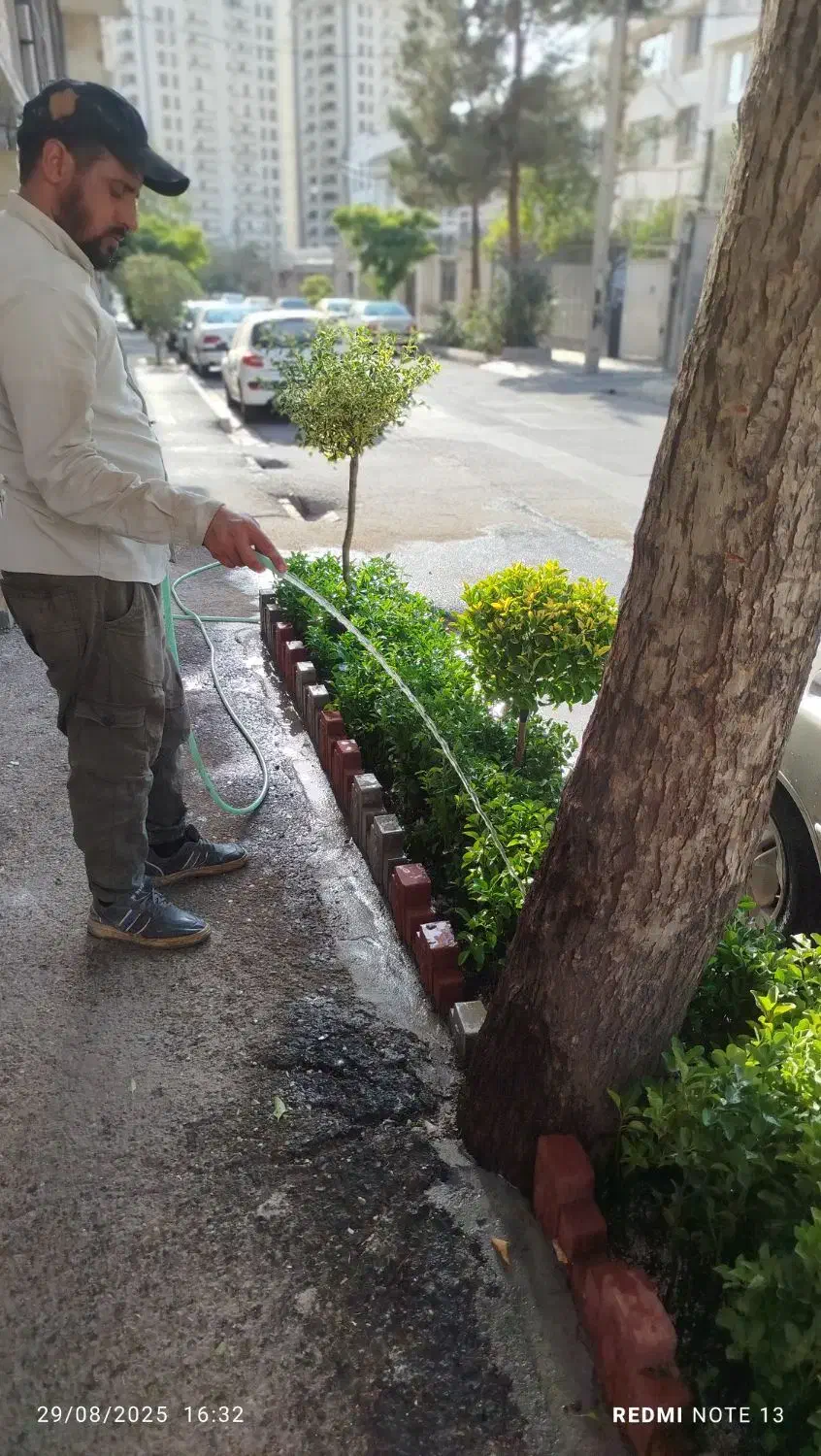 خدمات باغبانی احمدی سرویس به تمام نقاط تهران|خدمات باغبانی و درختکاری|تهران, کامرانیه|دیوار