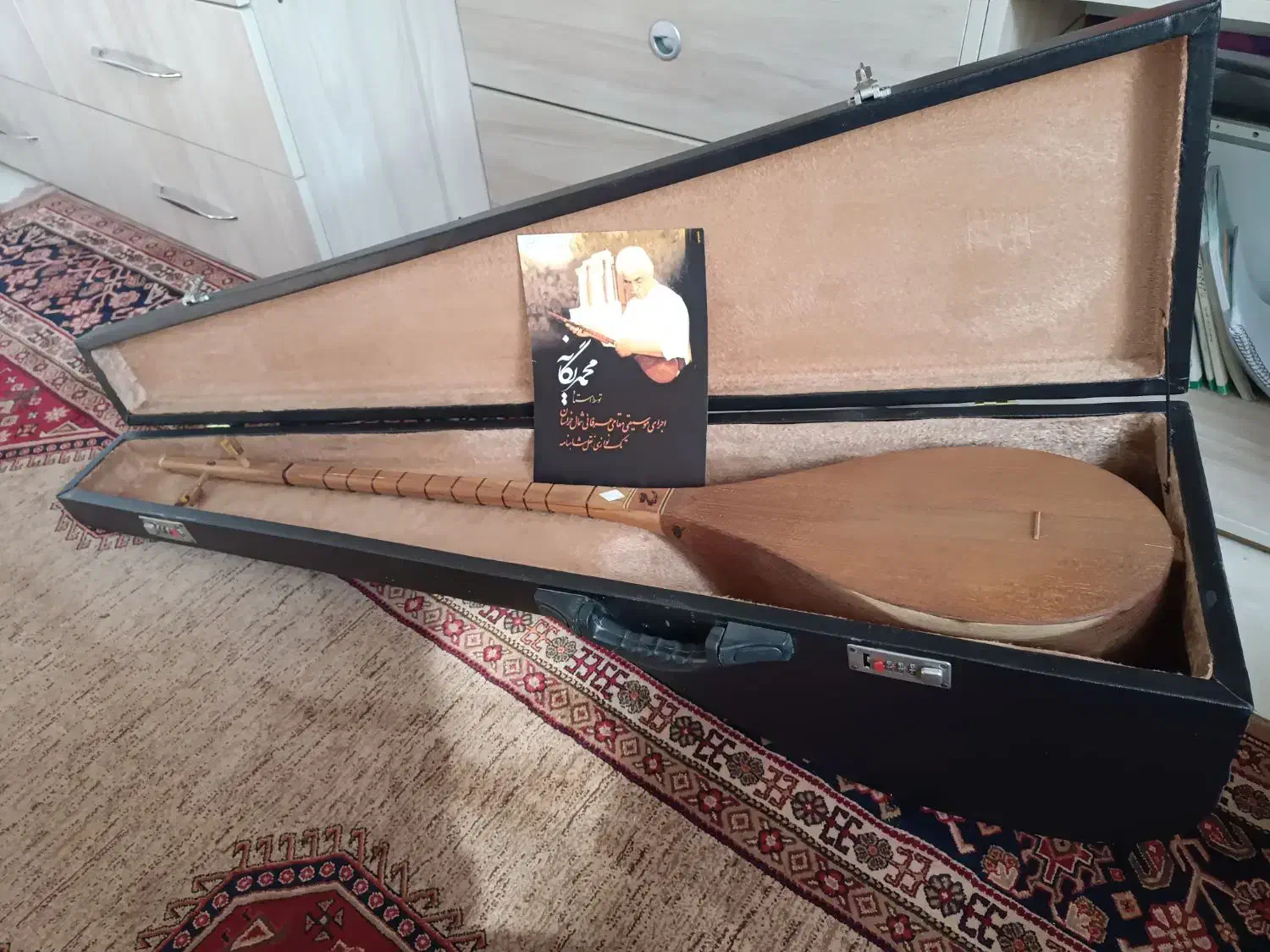 دوتار|سازهای سنتی|ری, دولت‌آباد|دیوار