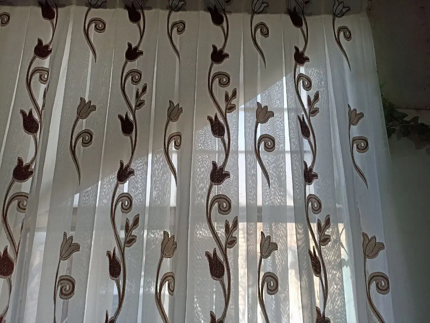 پرده|پرده، رانر، رومیزی|سبزوار, میدان بار|دیوار