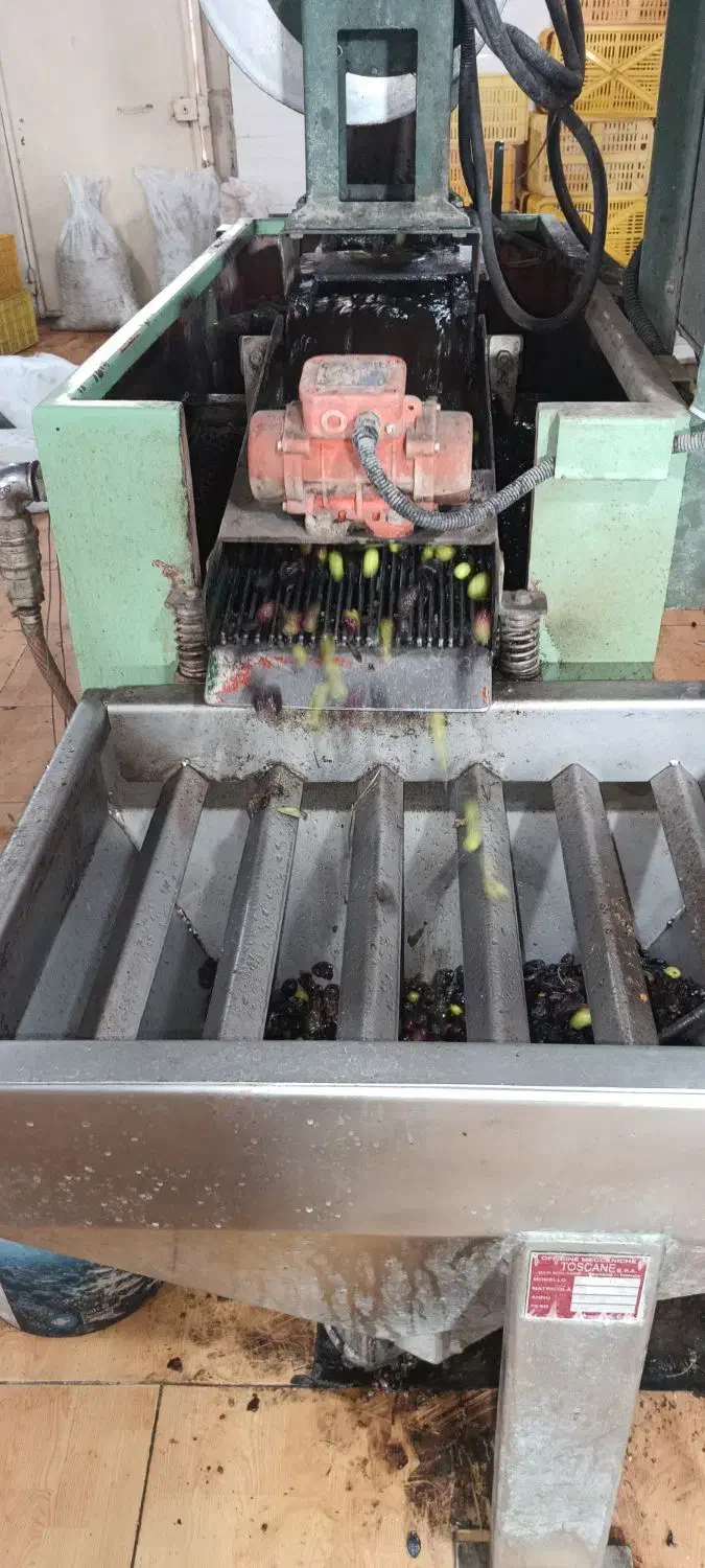 روغن زیتون|خوردنی و آشامیدنی|یاسوج, |دیوار