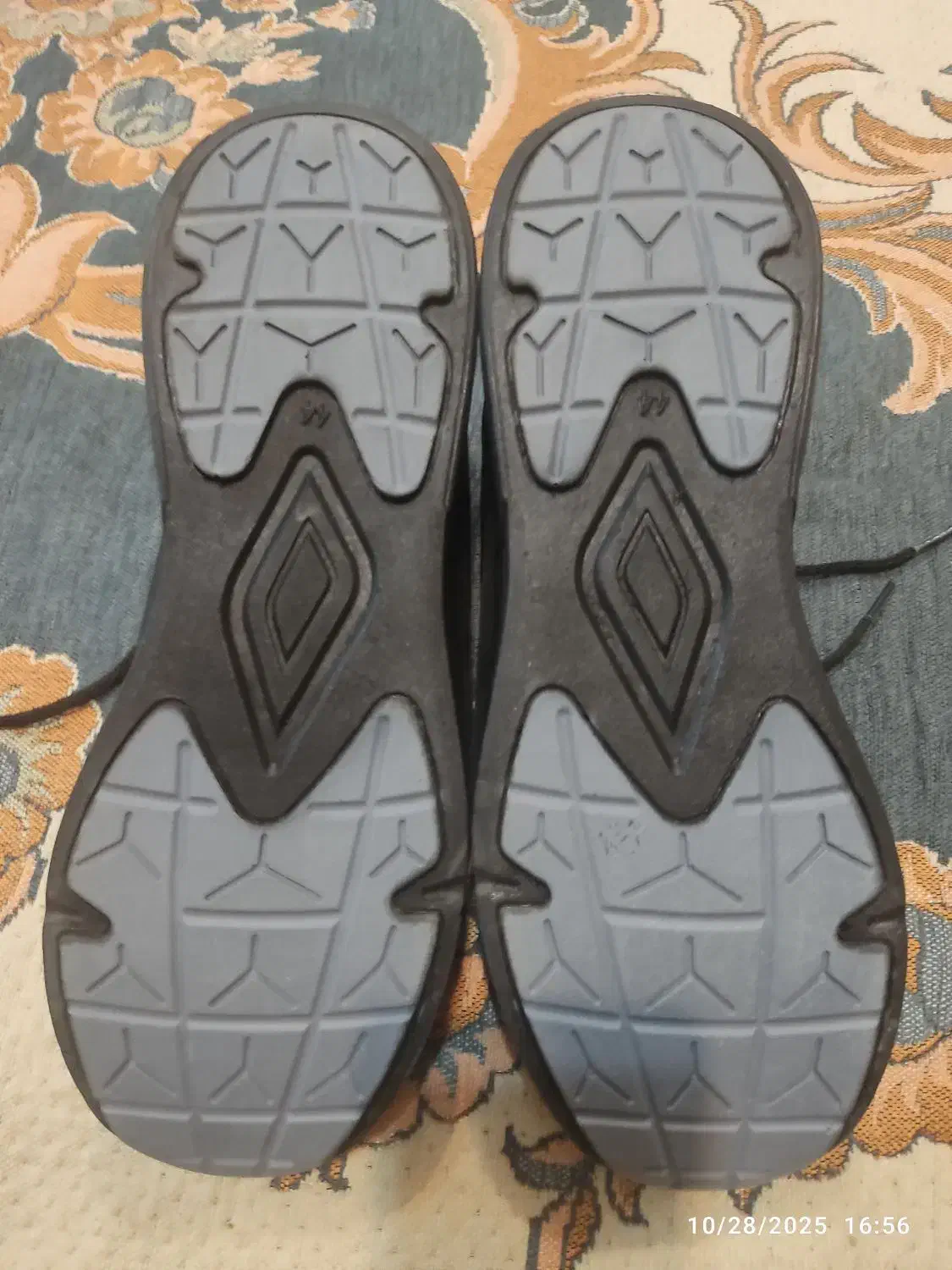 کفش چرمی اسکیچرز نو|کیف، کفش، کمربند|فولادشهر, C1|دیوار