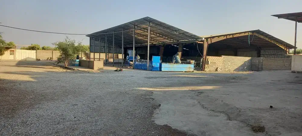 اجاره سوله برای صادرات سبزی|اجارهٔ دفتر صنعتی، کشاورزی، تجاری|دزفول, |دیوار