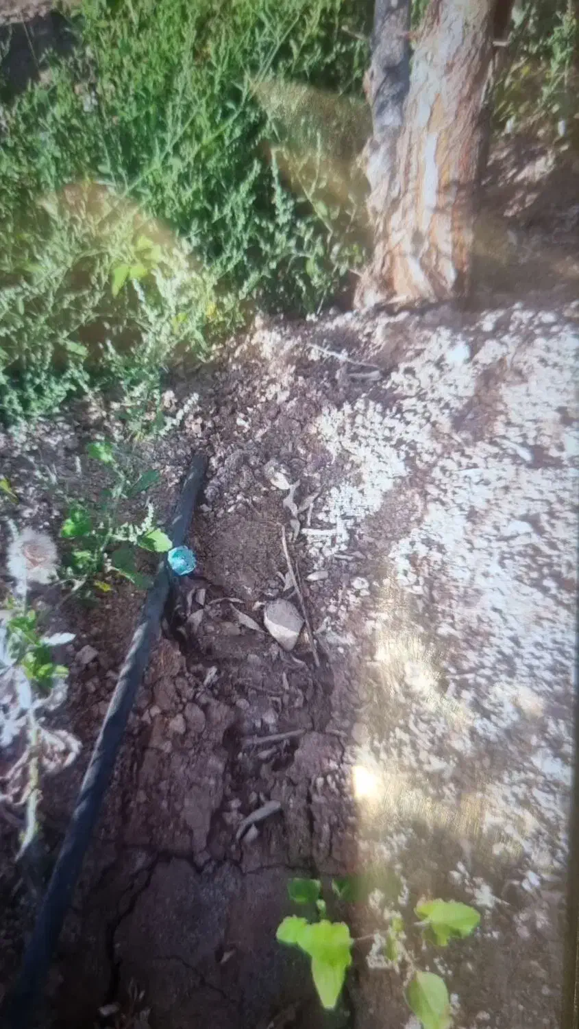 باغ شهر فرهیختگان در ۲۵ کیلومتری جاده تهران|فروش زمین و ملک کلنگی|زنجان, |دیوار