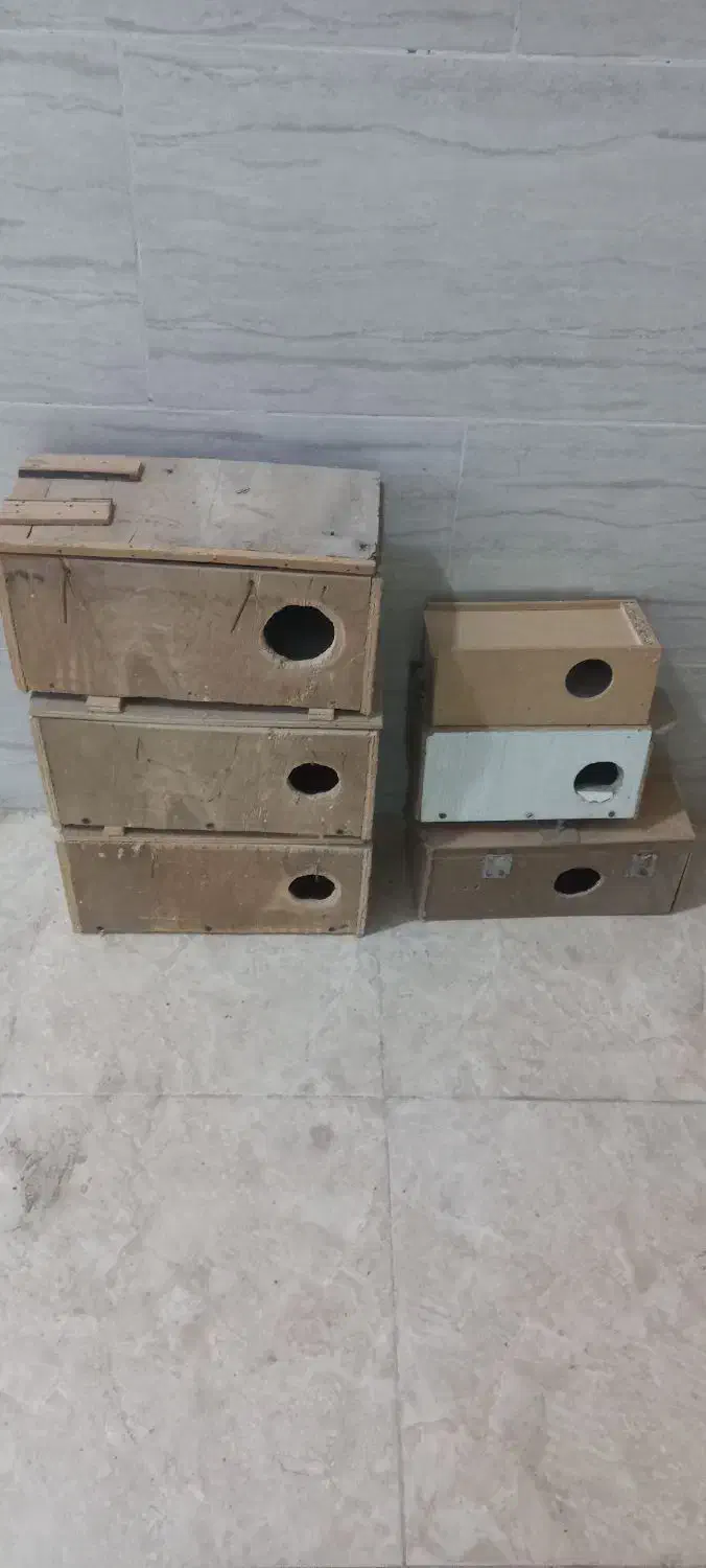 لونه پرنده|لوازم جانبی حیوانات|بوشهر, |دیوار