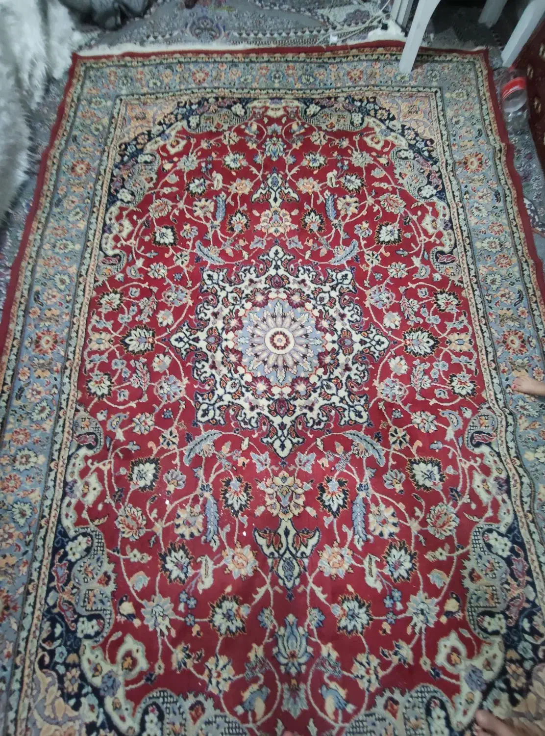 فرش 6 متری|فرش|دورود, |دیوار