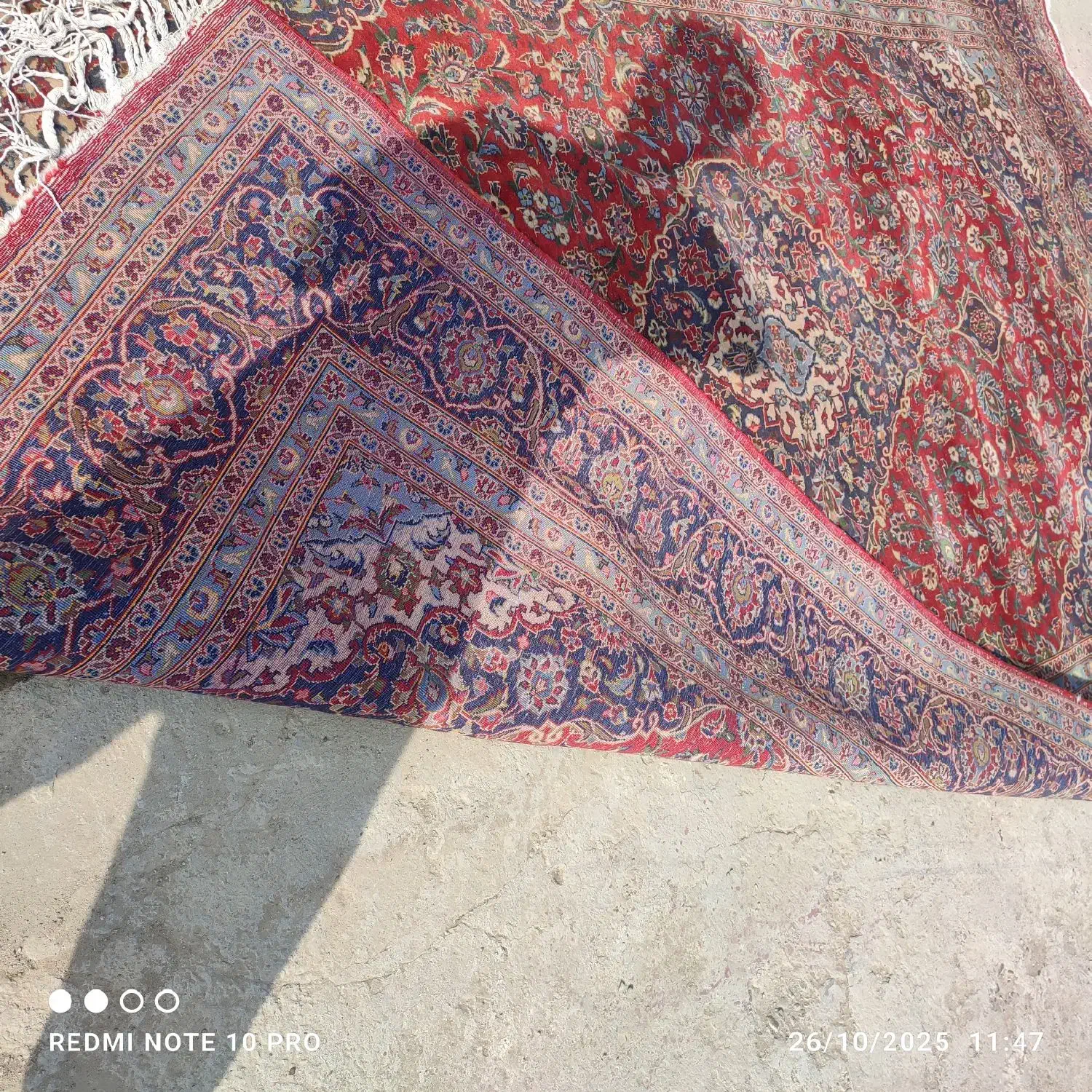 فرش دست بافت ۶متری کاشان|فرش|لاهیجان, لیالستان|دیوار