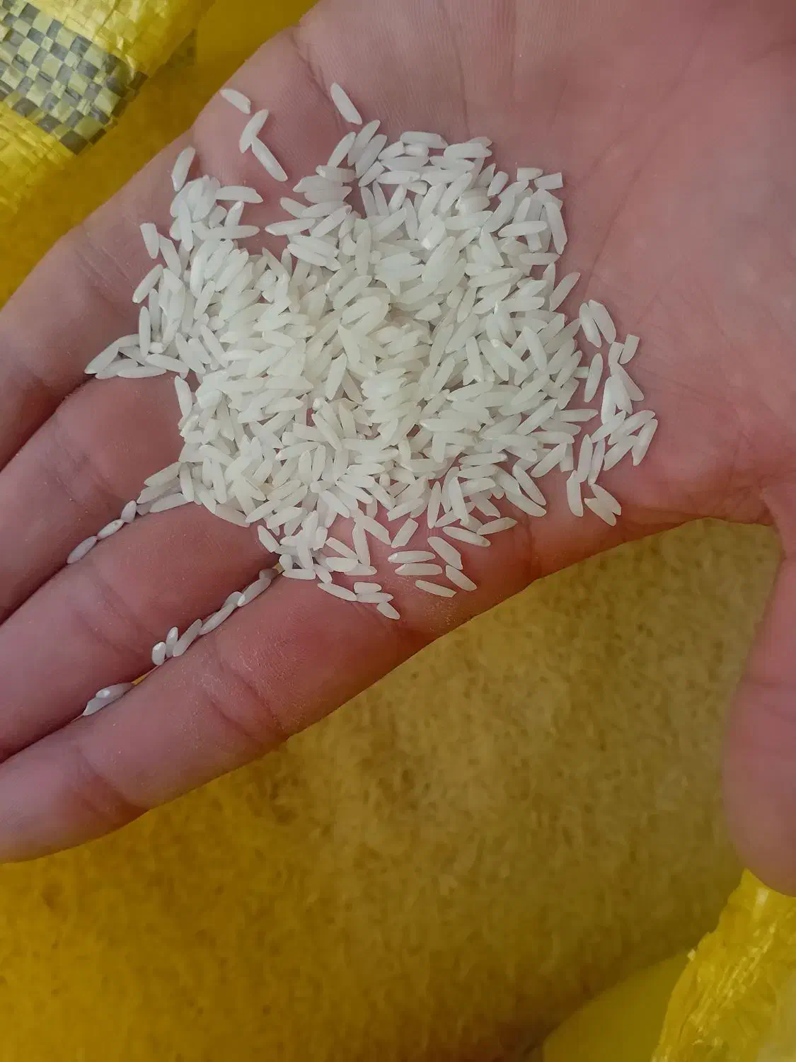 برنج کشت دوم اعلا|خوردنی و آشامیدنی|محمودآباد, |دیوار