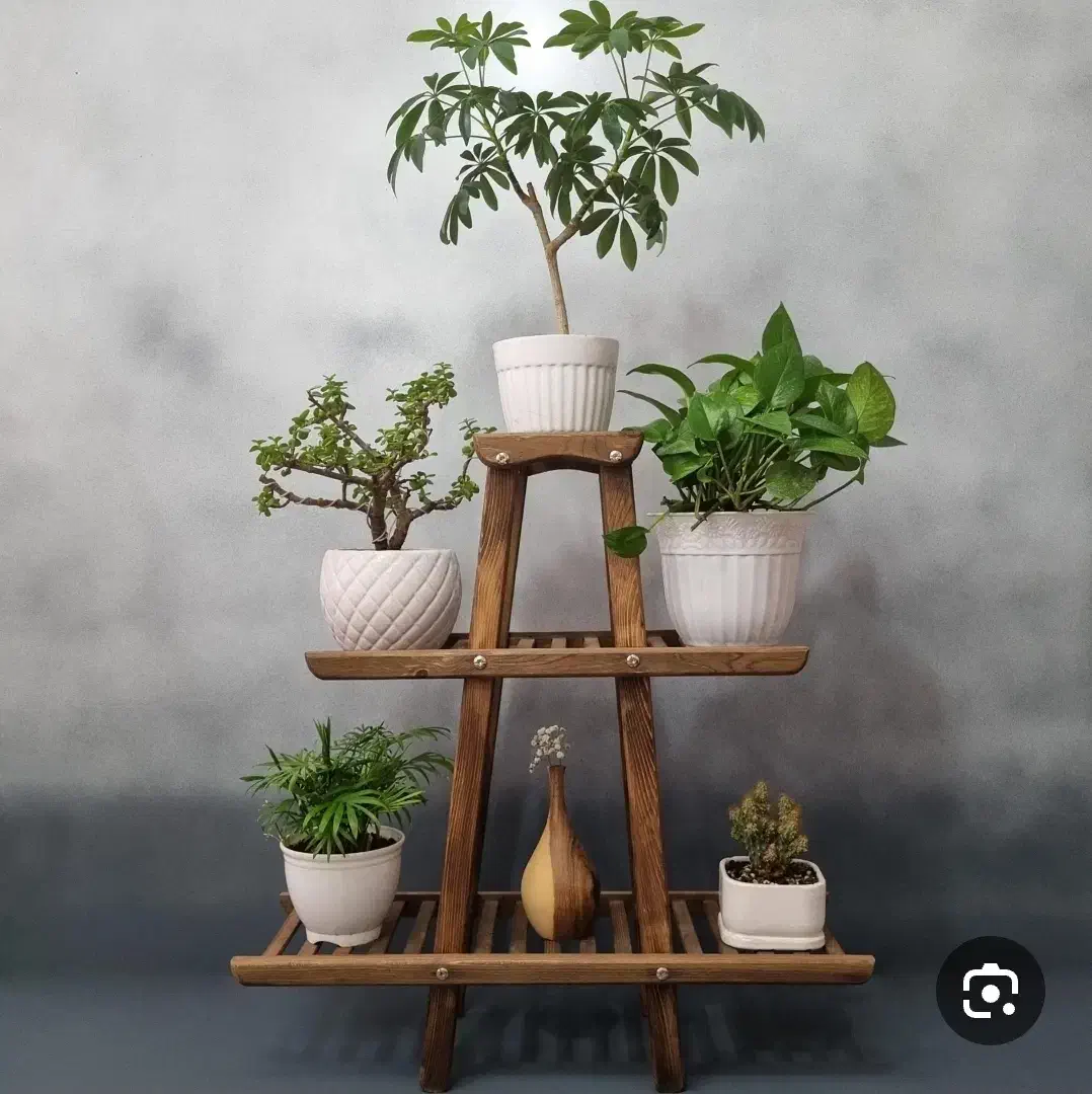 استند گل|گل و گیاه طبیعی|بیرجند, |دیوار