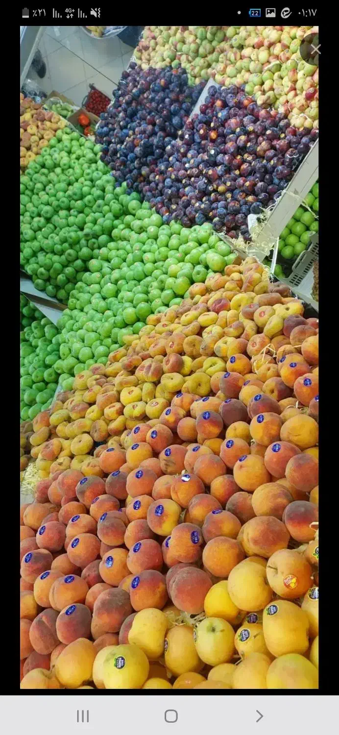 راهنمایی|فعالیت داوطلبانه تحقیقاتی|کرمانشاه, |دیوار