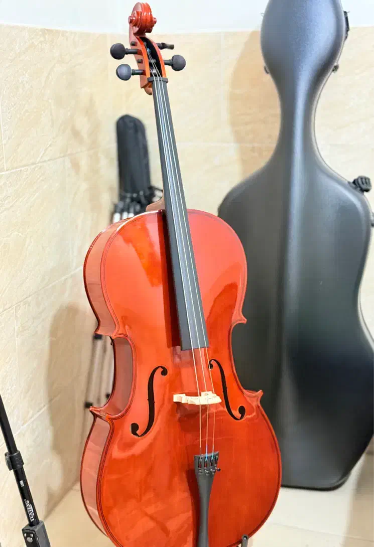 ویولنسل / ویولن سل ROMANC|ویولن|اصفهان, ملکشهر|دیوار