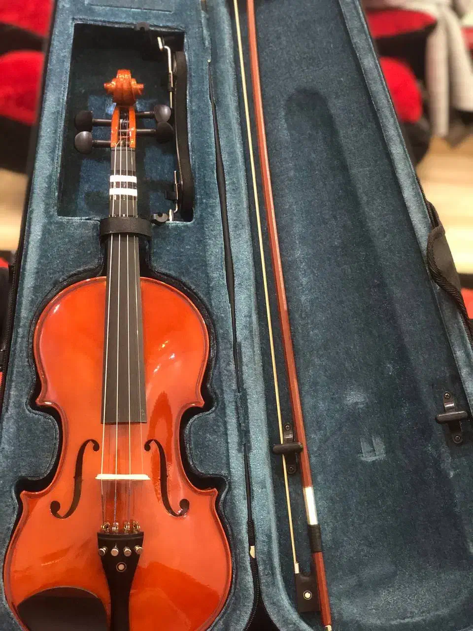 ویالون سلاریوس v1|ویولن|رشت, حومه رشت|دیوار