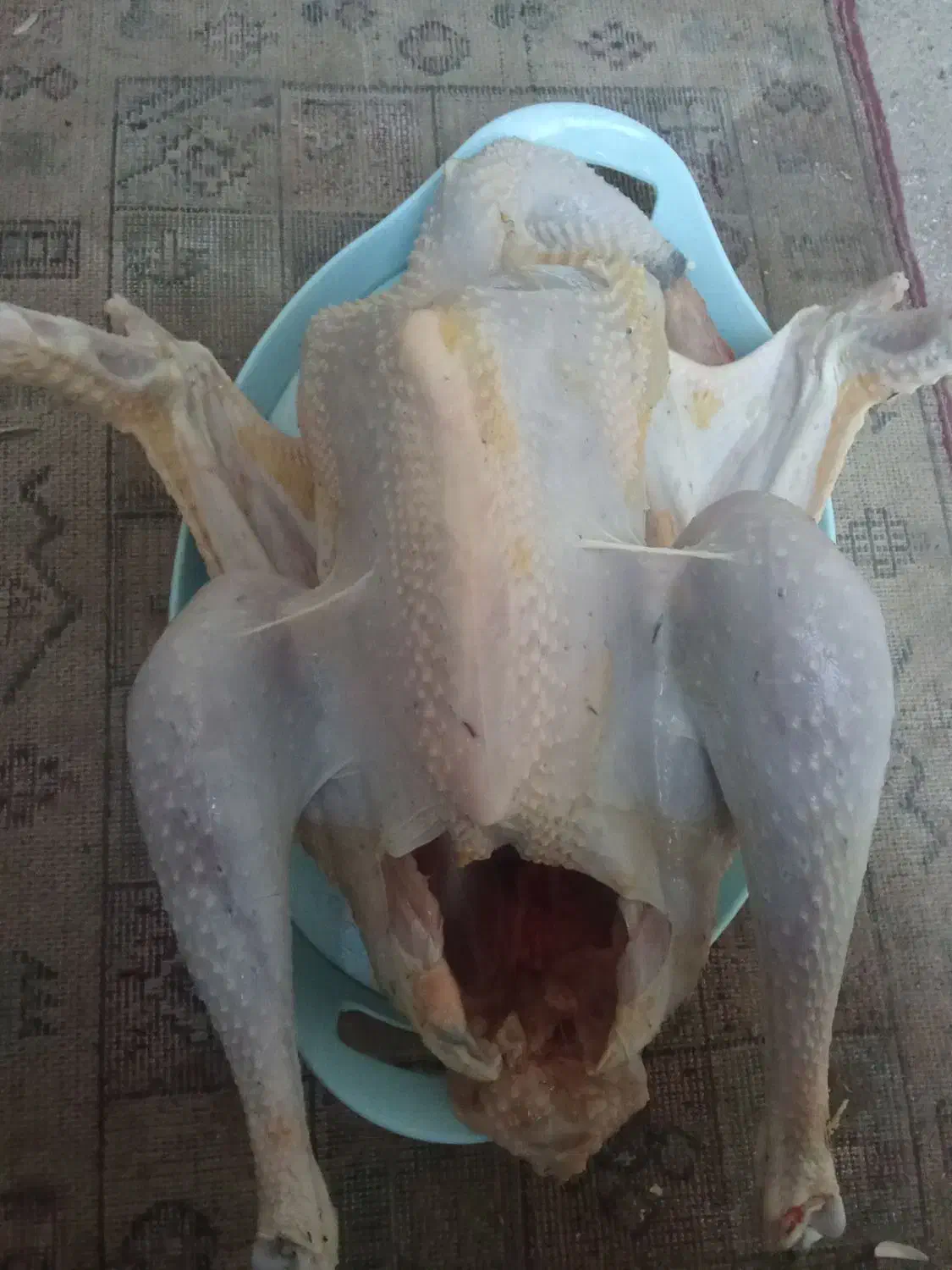 گوشت پاک شده بوقلمون غاز و خروس محلی|خوردنی و آشامیدنی|ماکو, |دیوار