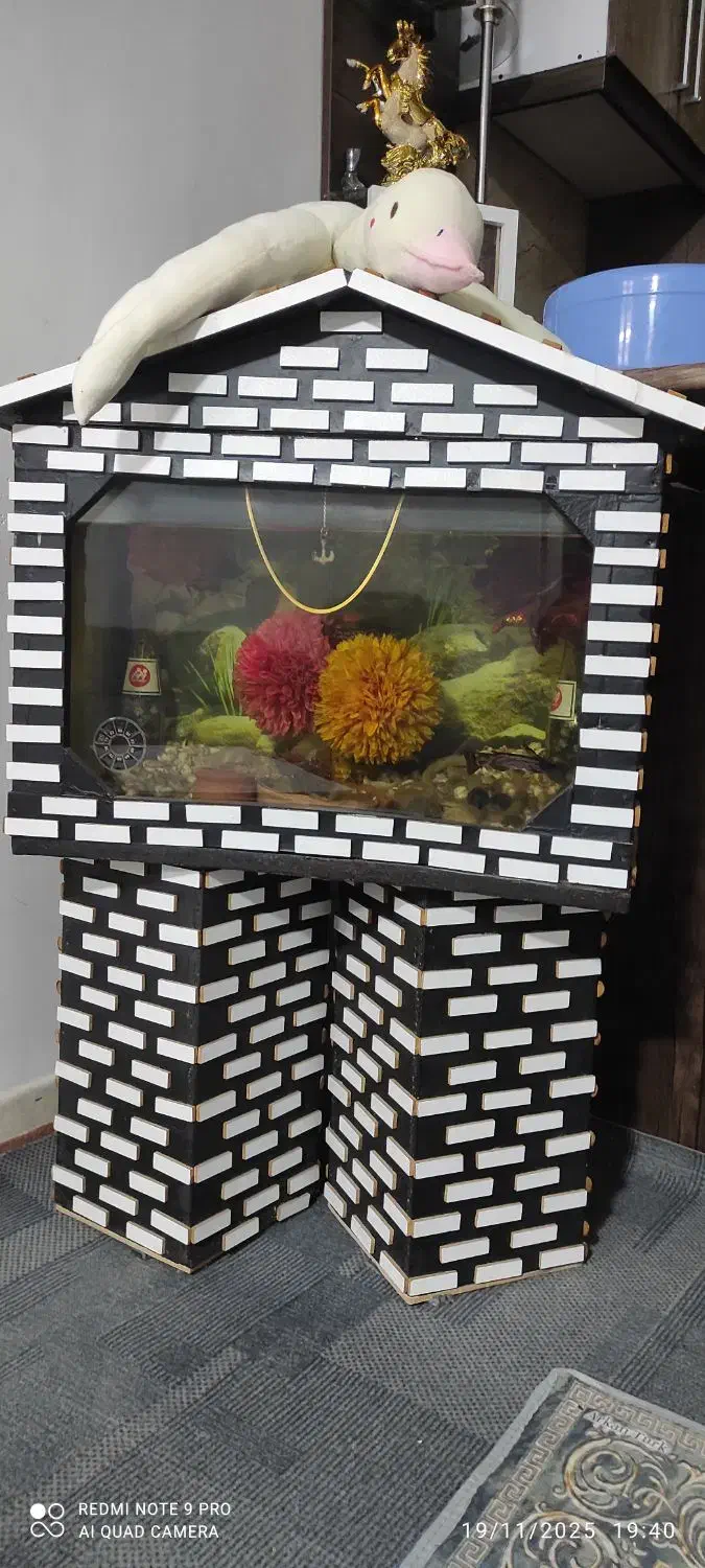 آکواریوم|ماهی|هشتگرد, شهرک اداری|دیوار