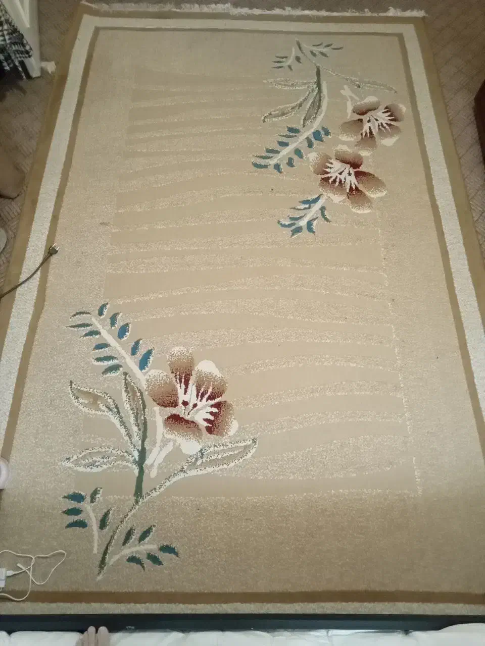 ۲ عدد گلیم فرش ۶ متری|فرش|سنندج, |دیوار