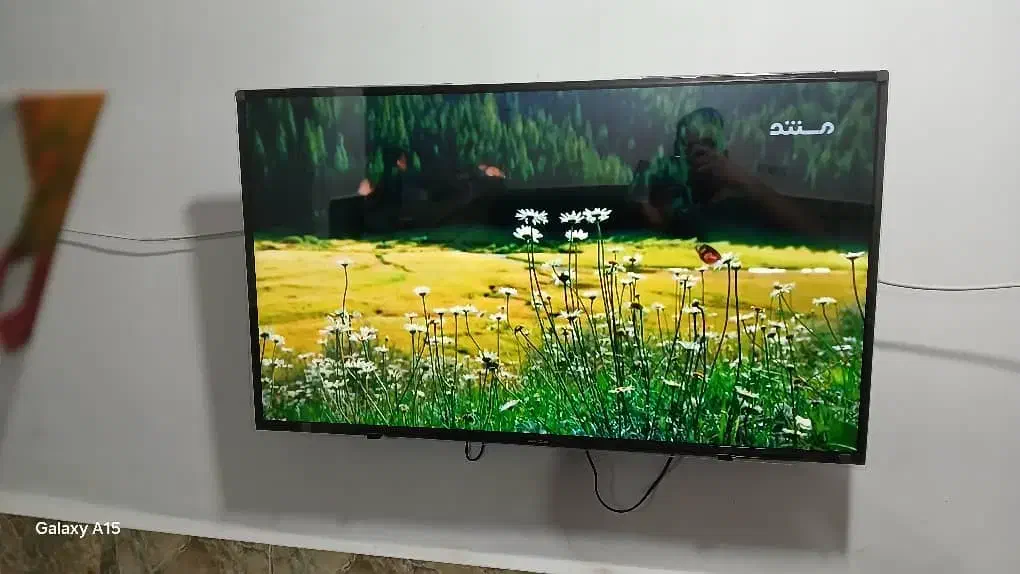 فروش انواع پایه دیواری و محافظ صفحه نمایش تلویزیون|تلویزیون و پروژکتور|دزفول, |دیوار