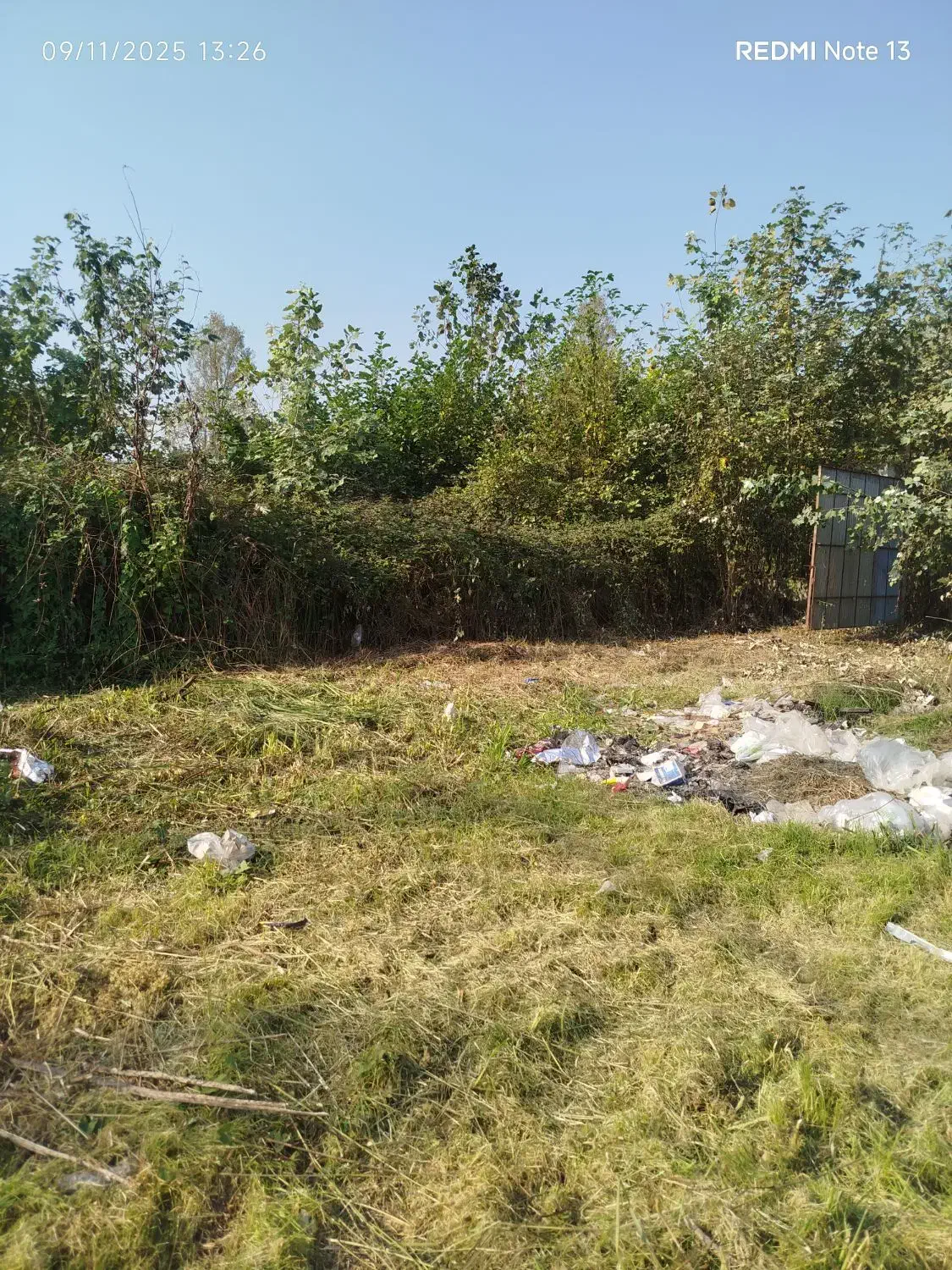 علفتراشی وچمنزنی وعلفزنی وتمشک زنی و لی زنی دستگاه|خدمات باغبانی و درختکاری|رشت, شهریاران|دیوار