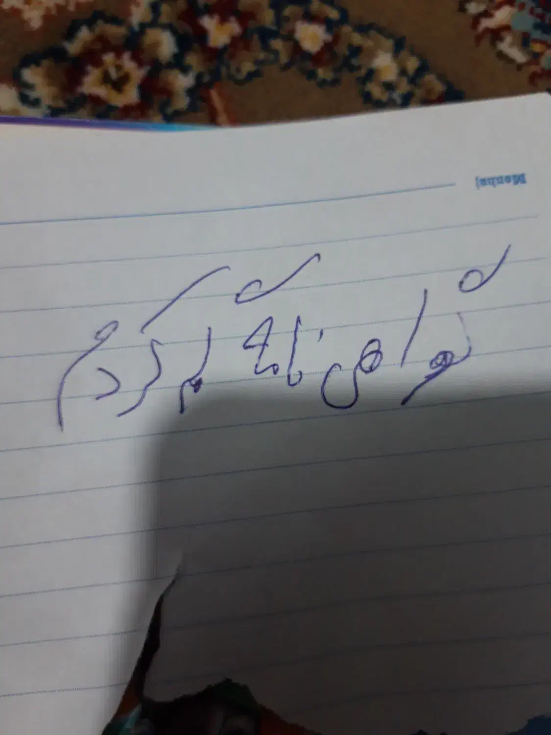 گواهی نامه گمشده|اشیا|شیراز, کفترک|دیوار