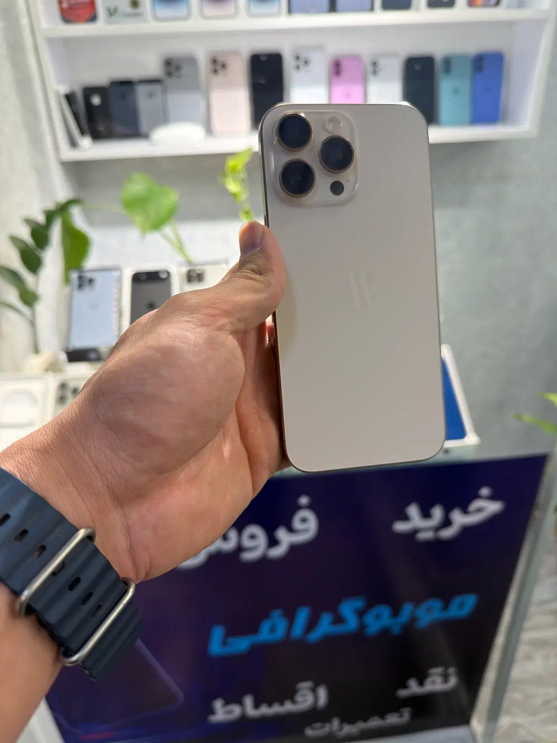 16promax|موبایل|اصفهان, باغ زرشک|دیوار