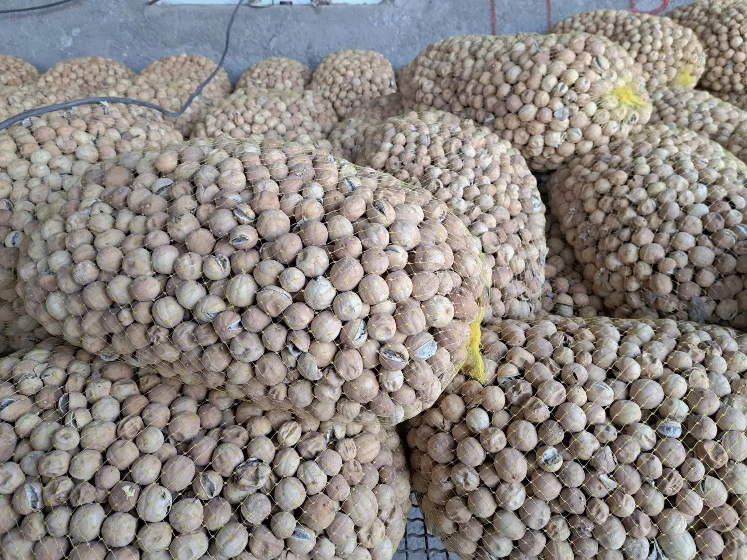 لیموخشک|خوردنی و آشامیدنی|اصفهان, قهجاورستان|دیوار