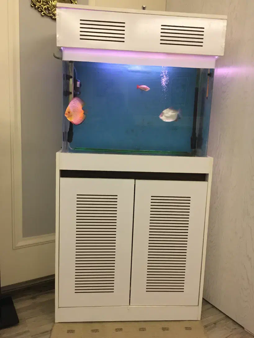 فروش آکواریوم با تجهیزات اکواریوم و سه تا ماهی|ماهی|کرج, دهقان ویلا|دیوار