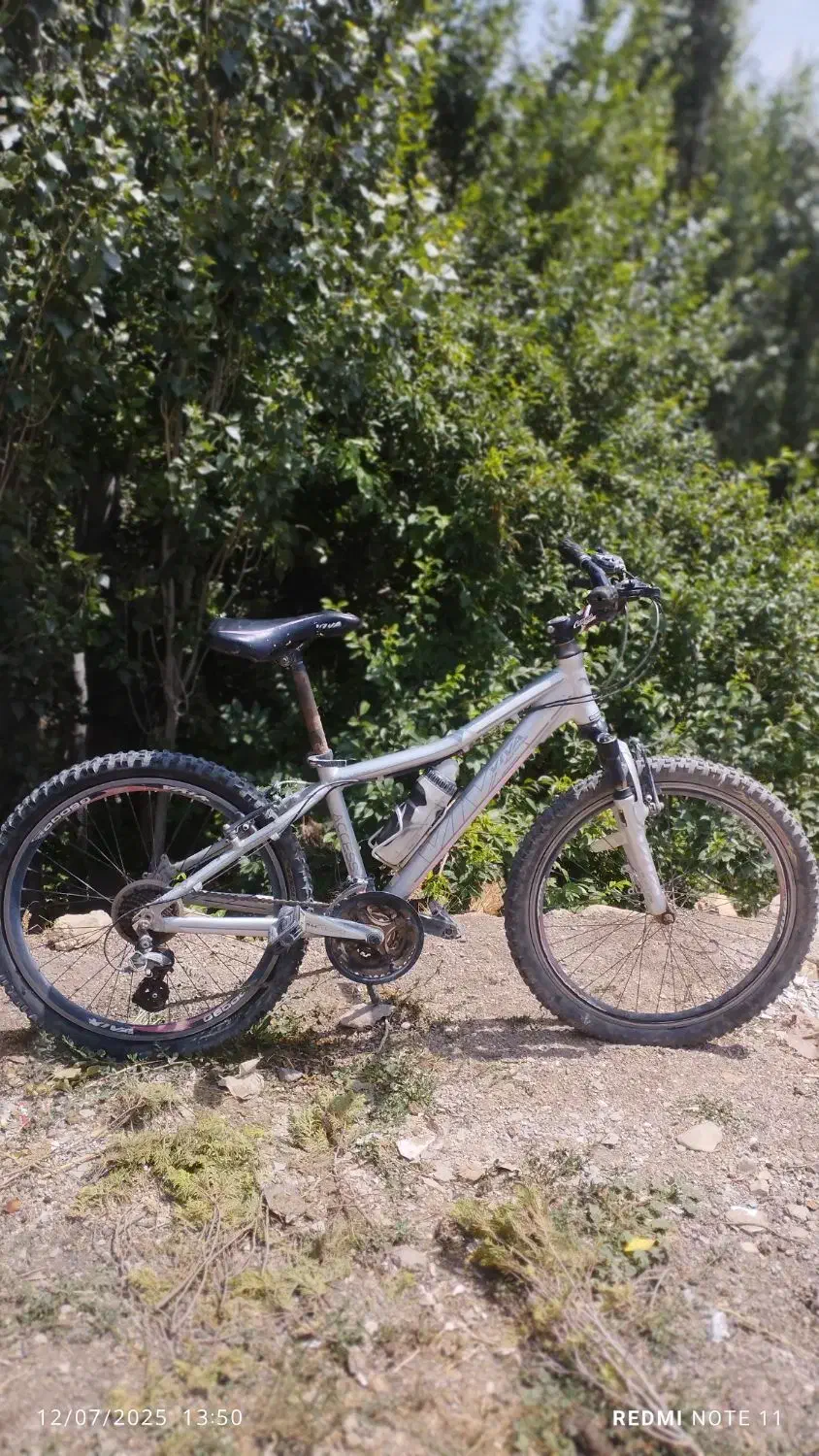 دوچرخه ویوا سایز 24|دوچرخه، اسکیت، اسکوتر|قیدار, |دیوار