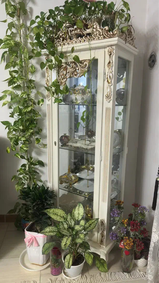 میز تلویزیون همراه با ویترین|میز تلویزیون|صومعهسرا, |دیوار