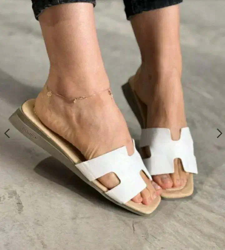 دمپایی|کیف، کفش، کمربند|حمیدیا, |دیوار