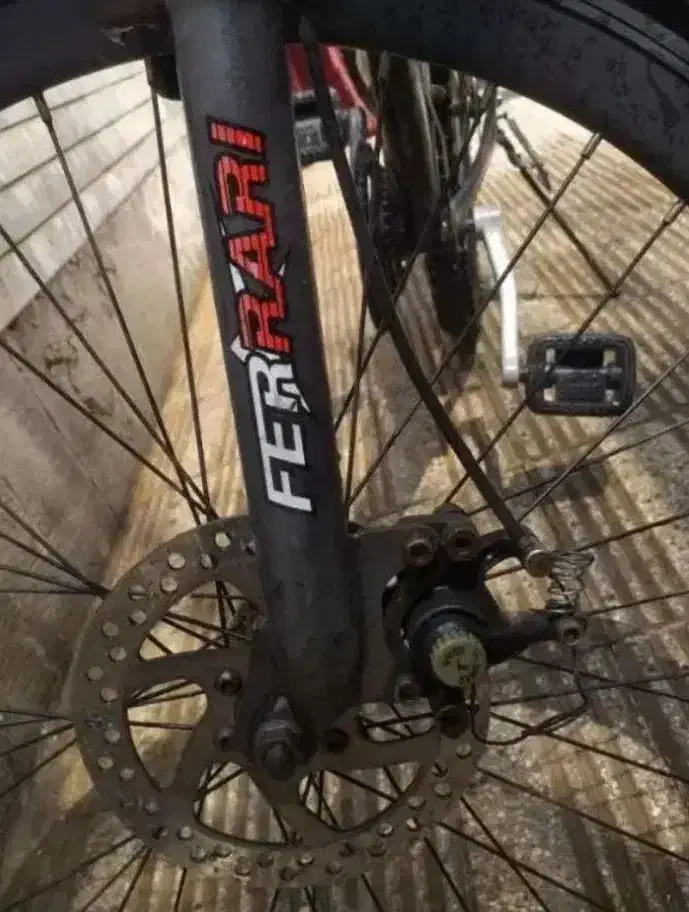 دوچرخه ۲۶ سالم|دوچرخه، اسکیت، اسکوتر|تهران, والفجر (افسریه)|دیوار