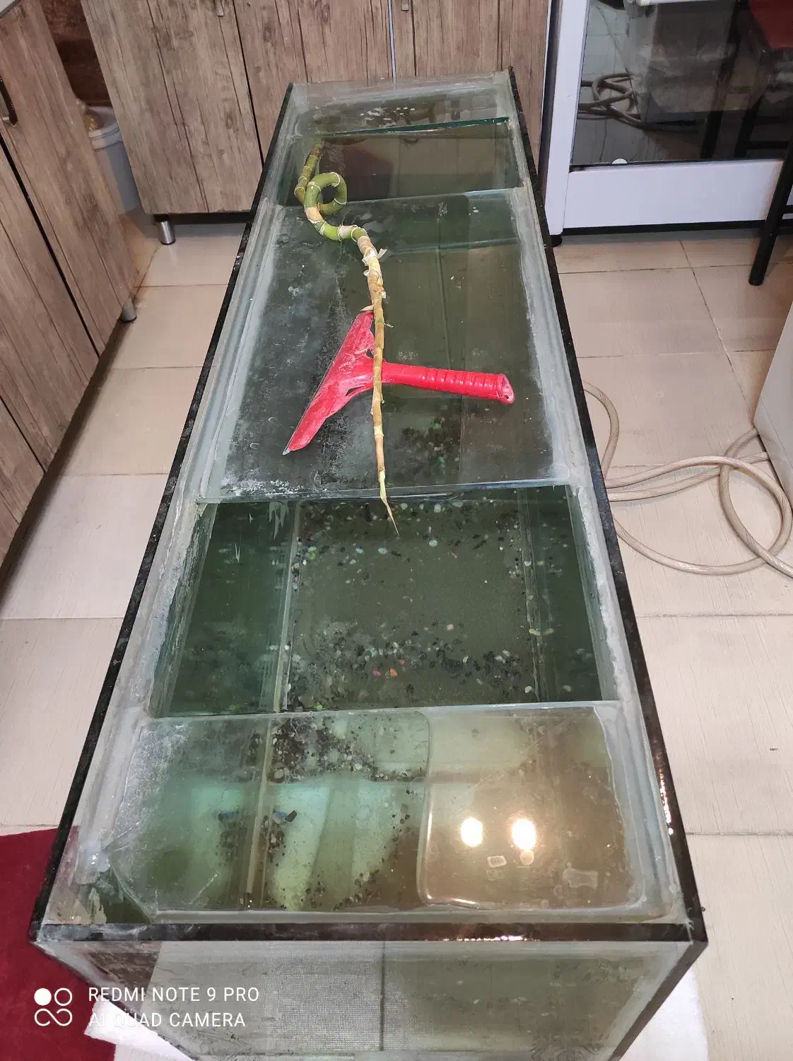 اکواریوم حرفه ای درجه یک بزرگ|ماهی|بروجرد, |دیوار