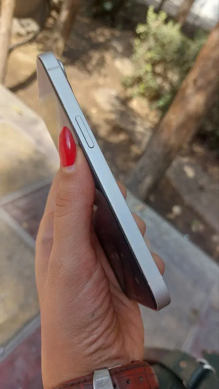 آیفون 13 نرمال|موبایل|یزد, |دیوار