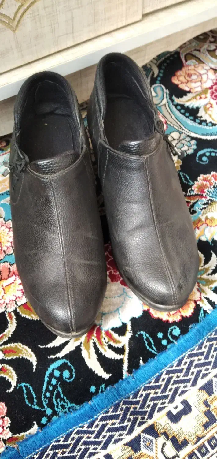 کفش مردانه وزنانه|کیف، کفش، کمربند|الشتر, |دیوار