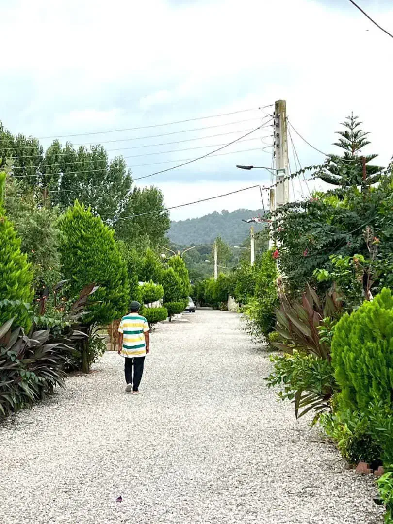 زمین سنددار جنگلی شهرک برندبانگهبانی دوپلاک موجود|فروش زمین و ملک کلنگی|نور, |دیوار