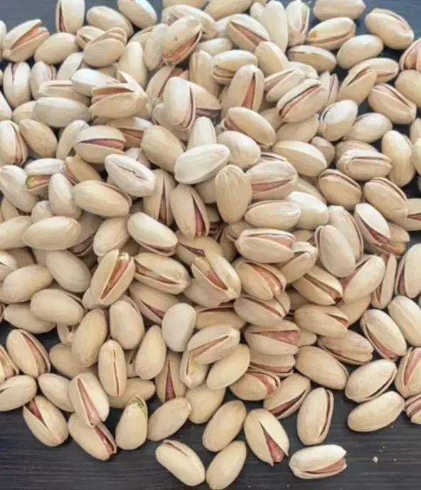 پسته اکبری|خوردنی و آشامیدنی|تهران, راه آهن|دیوار