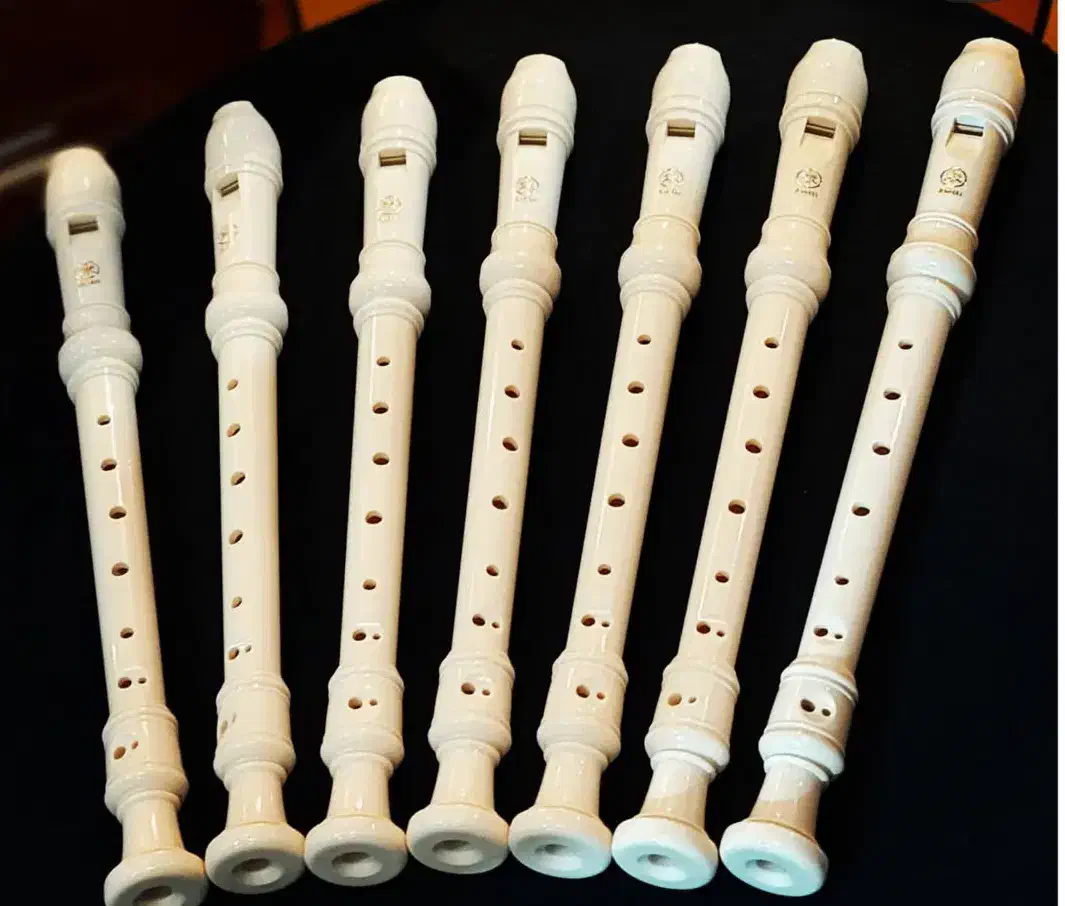 فلوت ریکوردر یاماها کد۱۱۸|سازهای بادی|شیراز, سیاه سنگ|دیوار