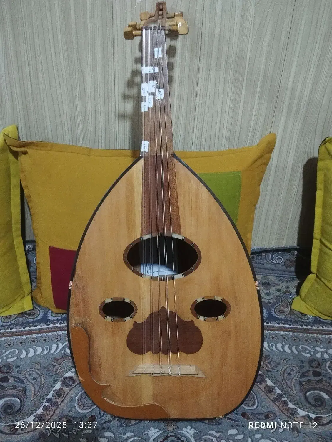 عود مصری|سازهای سنتی|بندرعباس, |دیوار