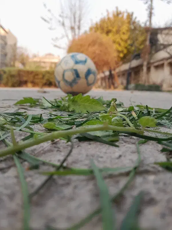 توپ|ورزشهای توپی|تهران, اقدسیه|دیوار