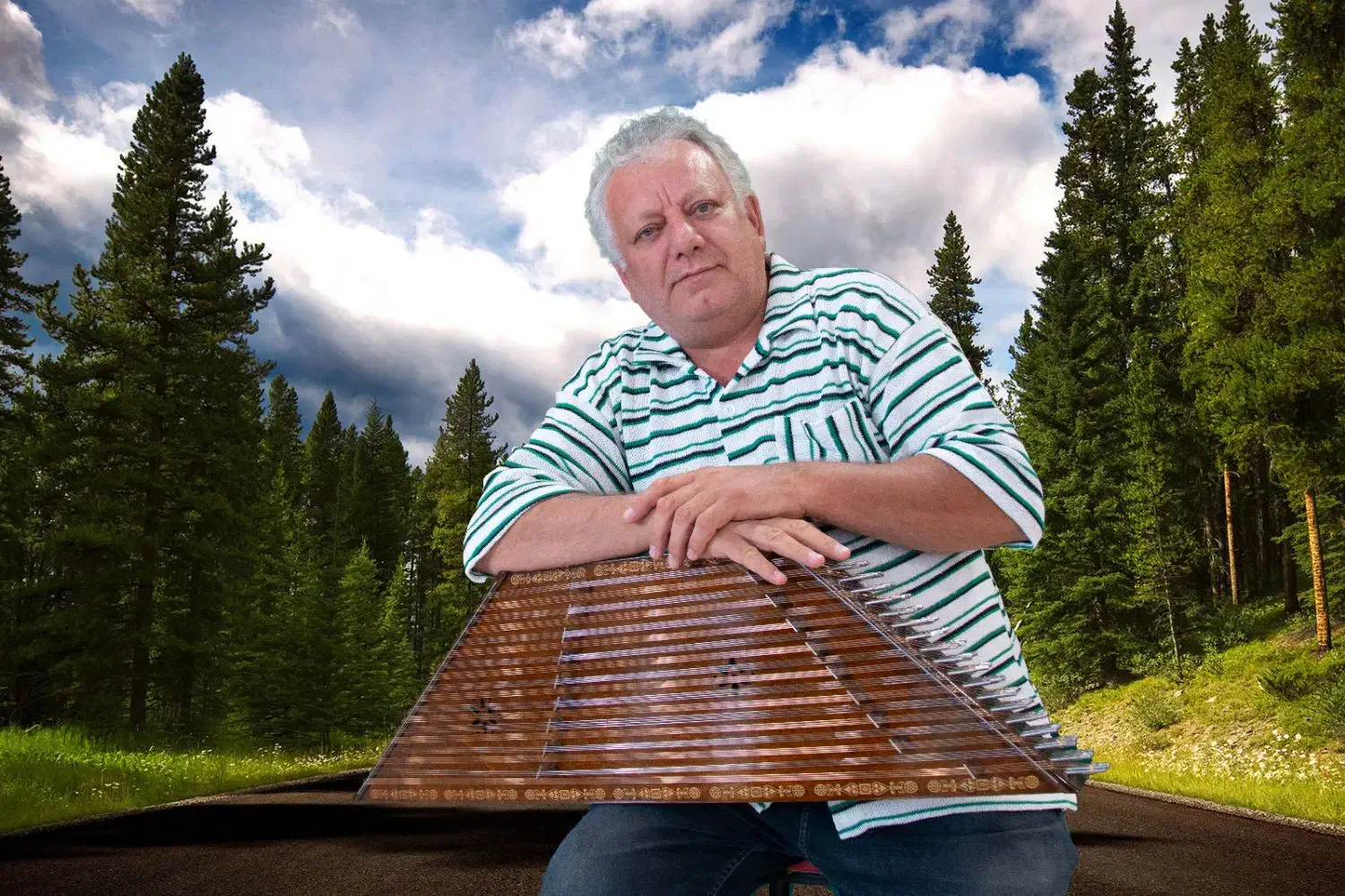 آموزش آسان سنتور هر جلسه یک آهنگ|خدمات آموزشی|اردبیل, |دیوار