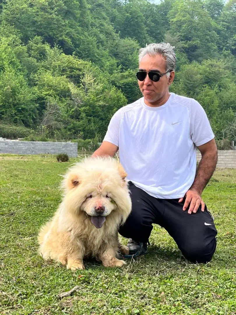 چاوچاو چاو چاو چائو چائو chowchow|سگ|تهران, محمودیه|دیوار