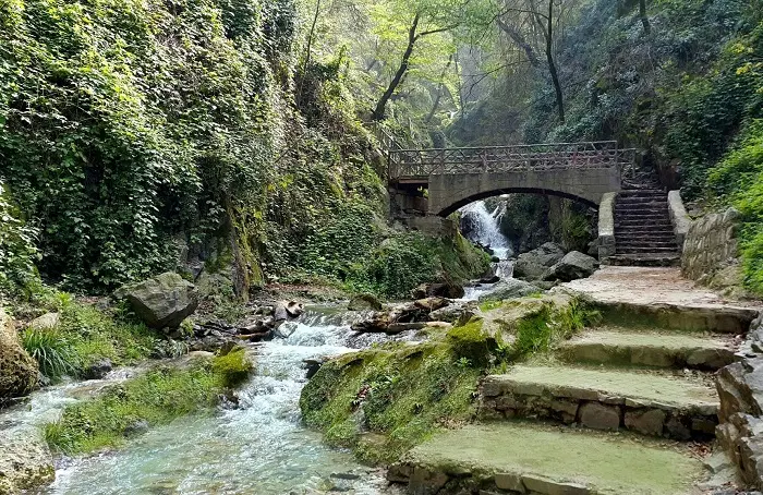 تور تفریحی جنگل سیستان و ساحل دریا خزر|تور و چارتر|تهران, استقلال|دیوار