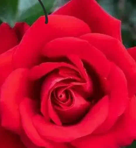 وام آزاد|فعالیت داوطلبانه|زاهدان, |دیوار