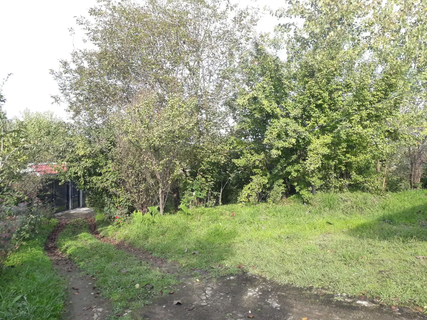 اجاره ویلا جنگلی تک خواب گیسوم|اجارهٔ خانه و ویلا|اسالم, |دیوار