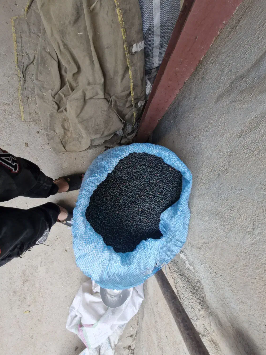 کلخنگ|خوردنی و آشامیدنی|کازرون, |دیوار