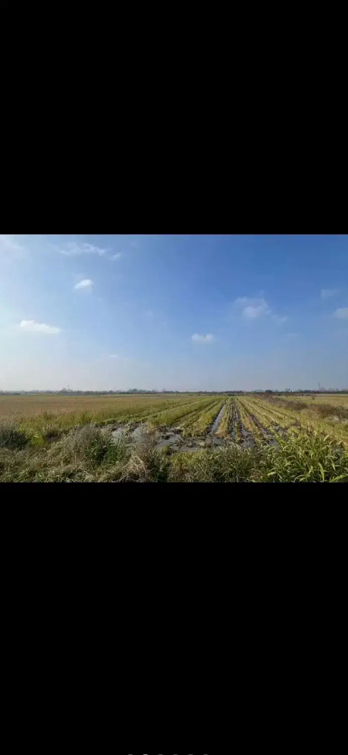 قرارداد جهت کشت خیار|خدمات باغبانی و درختکاری|عطاملک, |دیوار