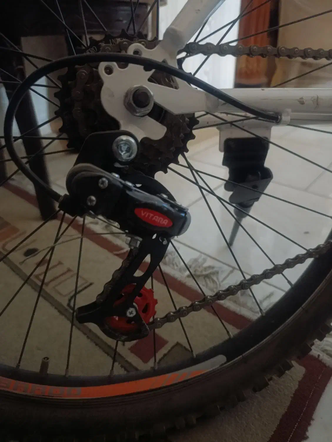 دوچرخه  ویوا|دوچرخه، اسکیت، اسکوتر|پرند, فاز ۶|دیوار